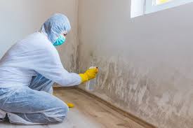 Best Mold Odor Removal Services  in Columbia, KY