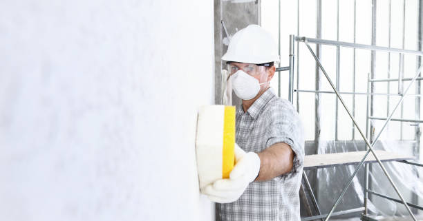 Best Residential Mold Inspection & Testing  in Columbia, KY