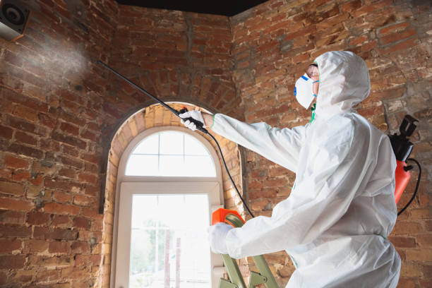 Best Mold Remediation for Healthcare Facilities  in Columbia, KY