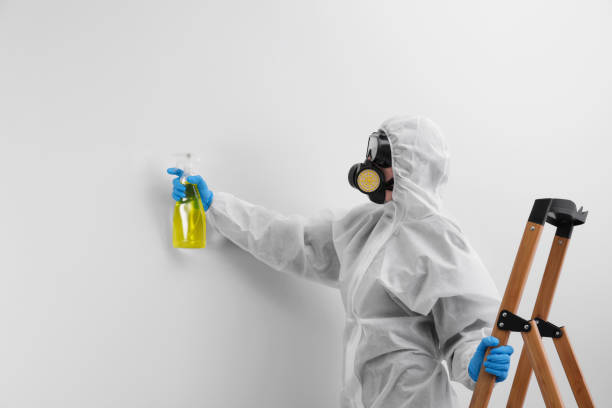 Mold Documentation for Insurance Claims in Columbia, KY